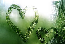 上海东亚吧是个什么样的球迷社区?