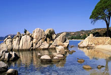 步行者对阵雷霆,谁能在这场东西部的碰撞中笑到最后?